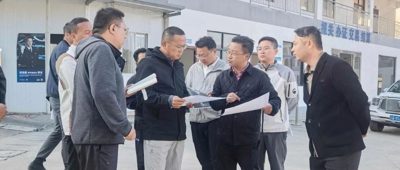 杨波到片马镇、鲁掌镇调研