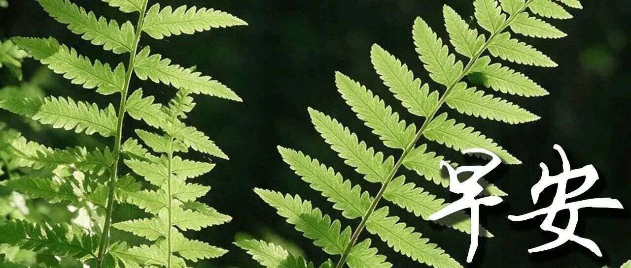 早安 津南 | 秋天常做这件小事,一整天情绪都会变好 早安 津南 | 秋天常做这件小事,一整天情绪都会变好