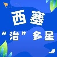 西塞“治”多星 | 王余辉:在楼栋里找办法,从群众中寻良方 西塞“治”多星 | 王余辉:在楼栋里找办法,从群众中寻良方