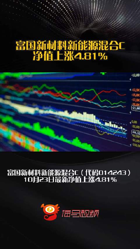 富国新材料新能源混合C净值上涨4.81%