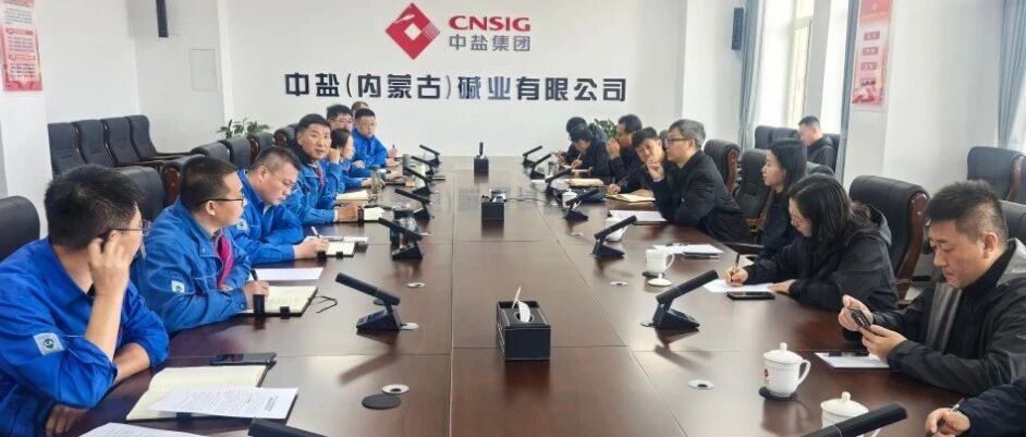 中盐天然碱项目现场办公会召开