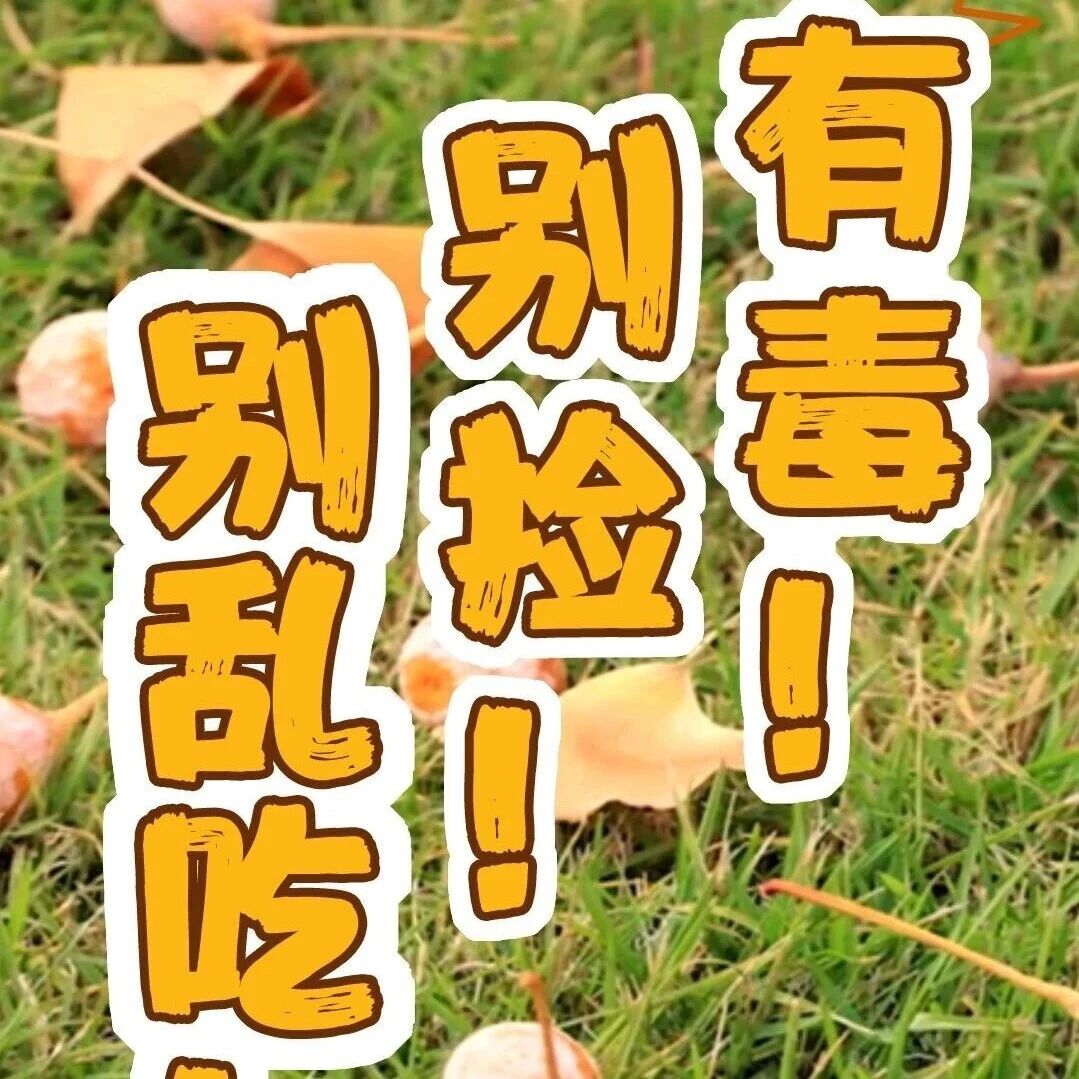 不要吃!不要捡!近期正大量出现 不要吃!不要捡!近期正大量出现
