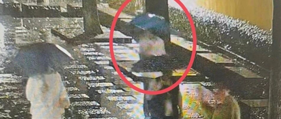 常州全网寻人:谁认识这位在红梅公园勇救落水群众的小哥? 常州全网寻人:谁认识这位在红梅公园勇救落水群众的小哥?