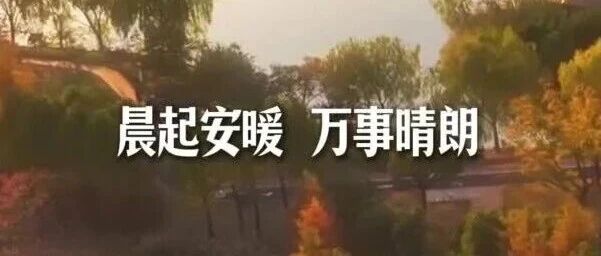 早安内黄 | 愿你一日清欢,风缓云闲 早安内黄 | 愿你一日清欢,风缓云闲