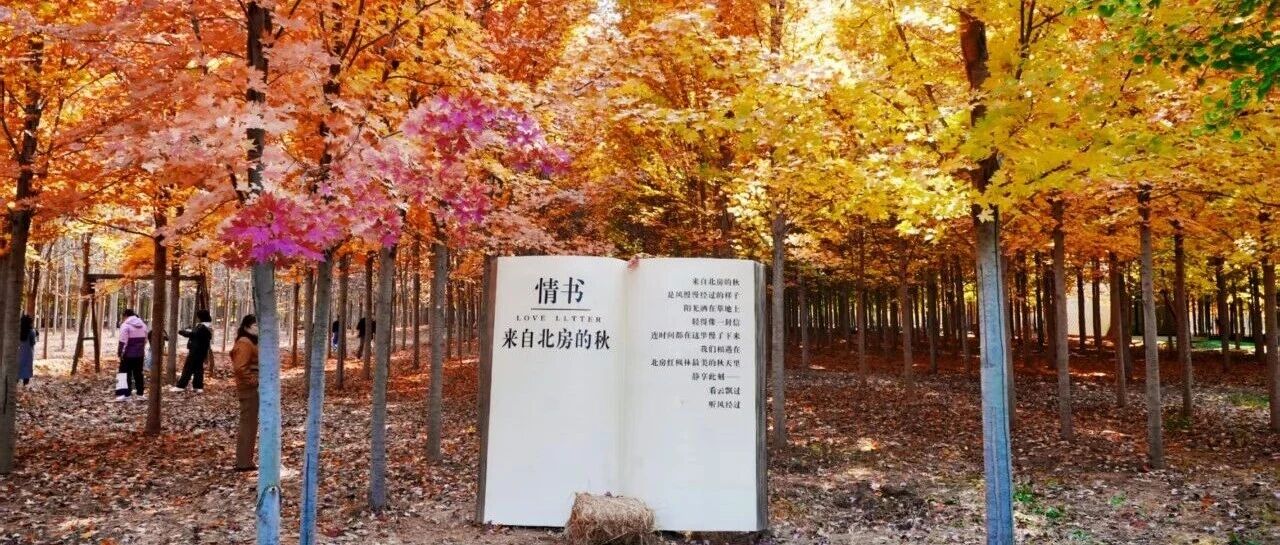 怀柔的秋丨枫染北房田园