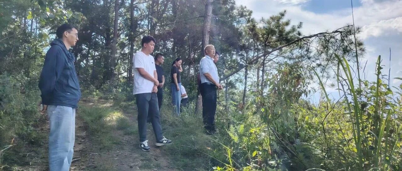 【专项督察】县人大常委会开展林长制工作专项督察