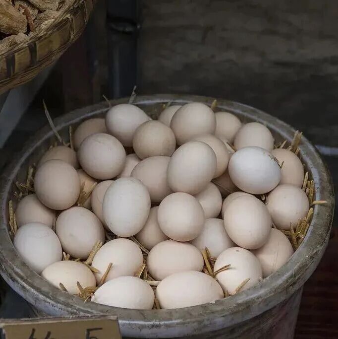 明天起,吃鸡蛋请调整一下 明天起,吃鸡蛋请调整一下