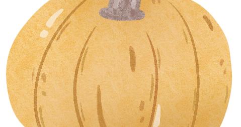 玩转宝山 | 花海、咖啡、竞速、露营，一天玩出多样惬意！