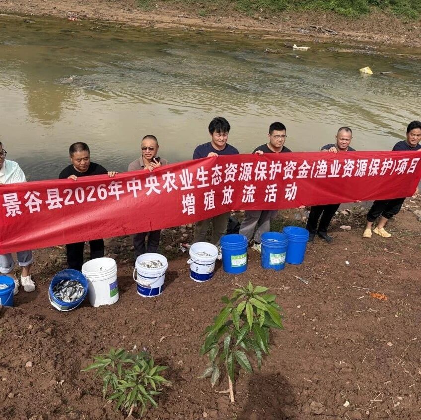 【生态文明】景谷永平：增殖放流让十万尾鱼苗回归生态