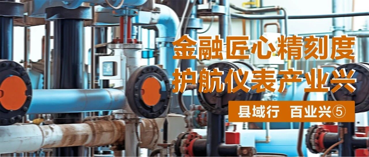 县域行·百业兴|金湖:金融匠心精刻度,护航仪表产业兴 县域行·百业兴|金湖:金融匠心精刻度,护航仪表产业兴