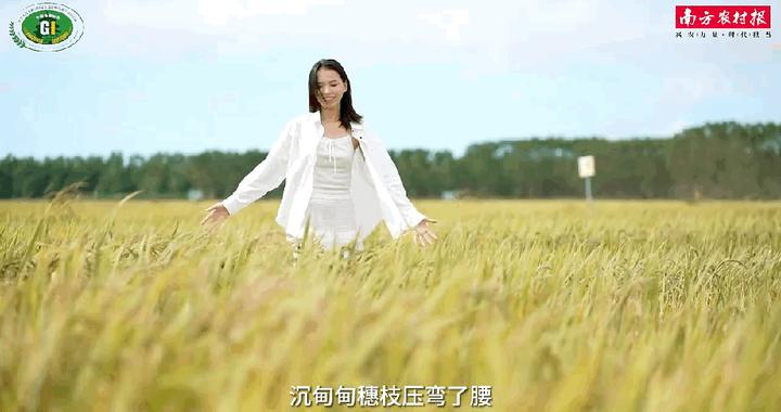 建议把主食换成它,身体会感谢你! 建议把主食换成它,身体会感谢你!