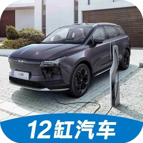 12缸出海丨海外的中国新势力“孤儿车”：没配件，没人管，成系统性风险