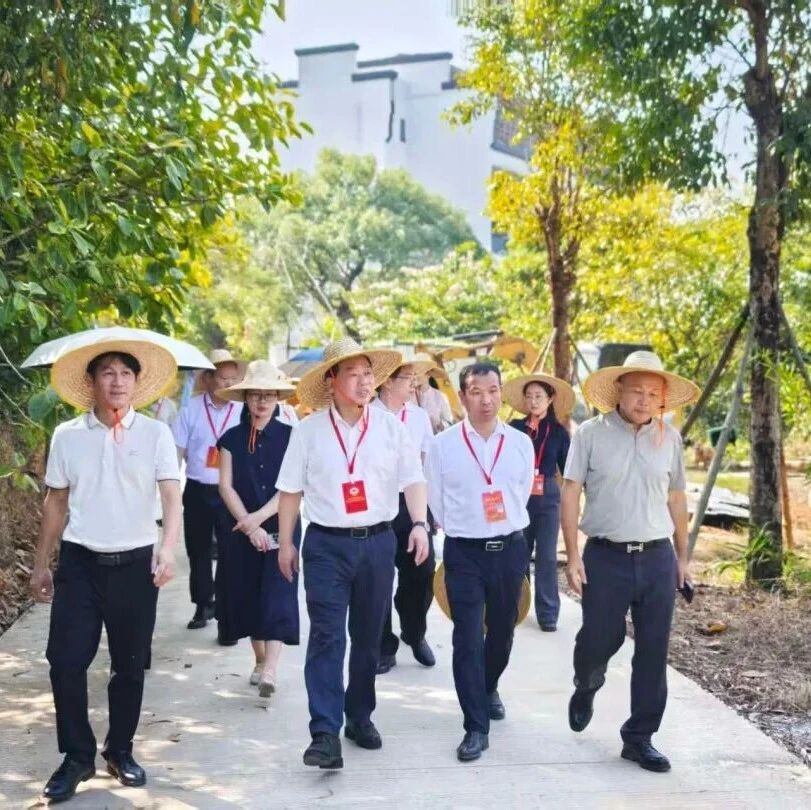 电白区政协专题调研望夫镇六和书院建设