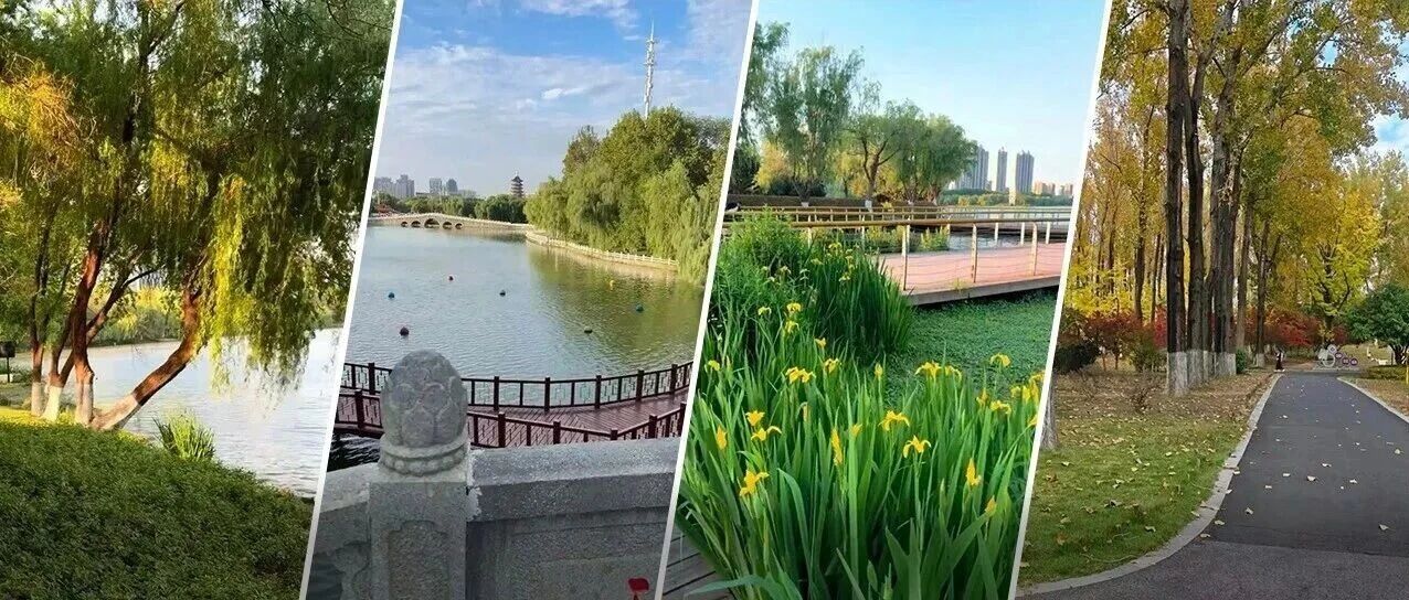 秋意正浓 找寻适合萌娃的城市温柔角落