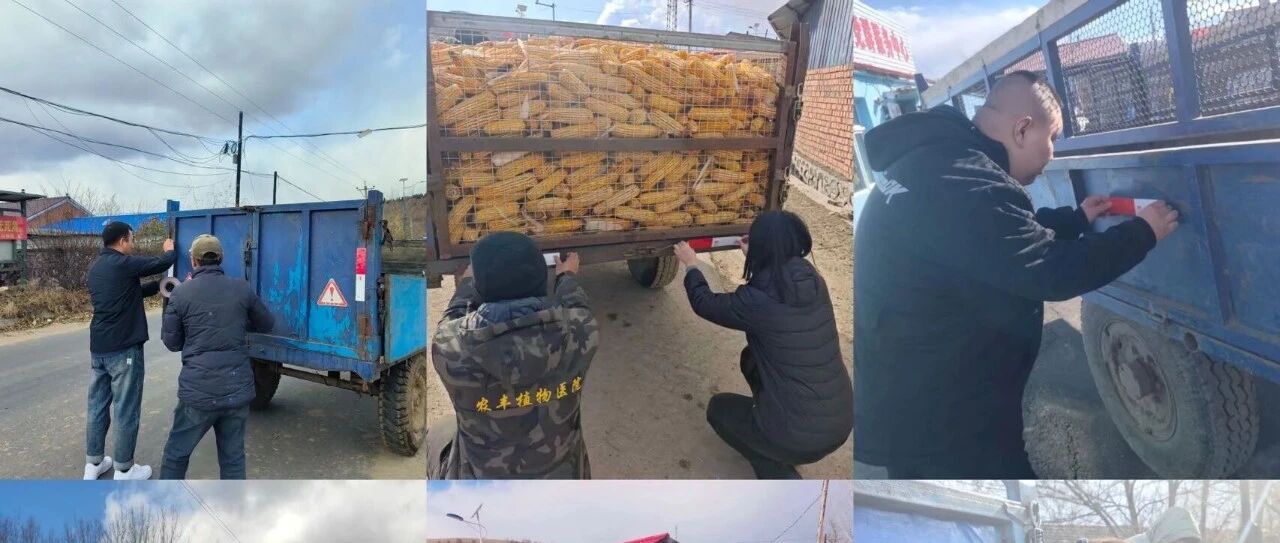 麻山镇开展农机安全专项检查护航秋收