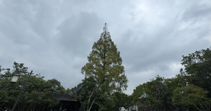 雨水暂歇两天，这日大风降温又“到货”→
