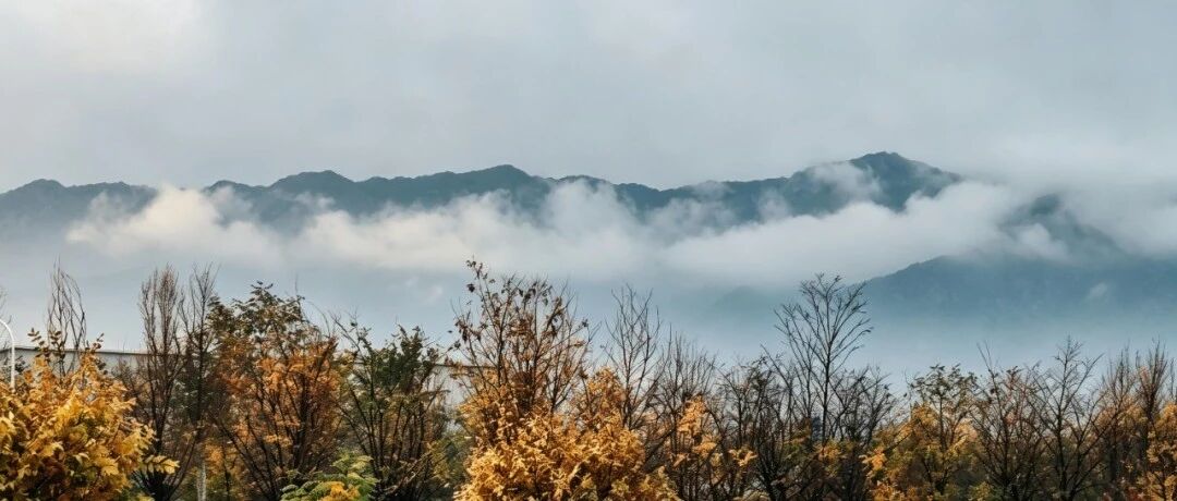 中色东方青年文化节——“镜头觅厂区之美 青春抒爱企之情” 主题摄影作品展播 中色东方青年文化节——“镜头觅厂区之美 青春抒爱企之情” 主题摄影作品展播