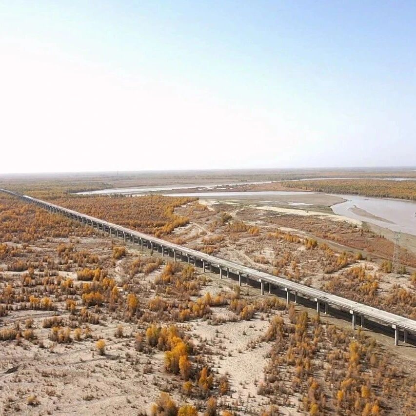 冲刺四季度 | 北新路桥集团承建兵团第二师铁阿5标项目塔里木河特大桥架梁过半! 冲刺四季度 | 北新路桥集团承建兵团第二师铁阿5标项目塔里木河特大桥架梁过半!