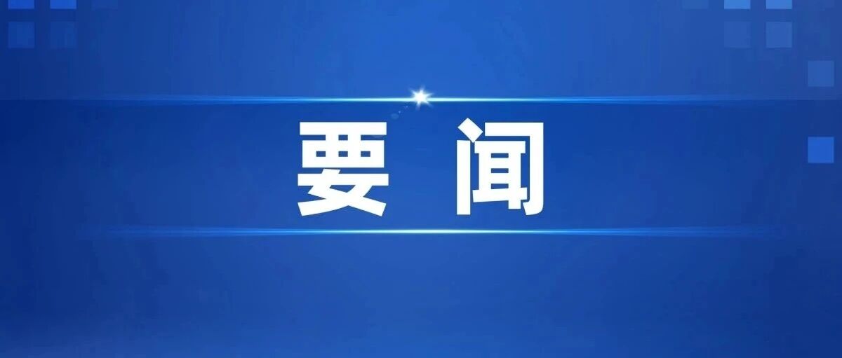陈小曼带队开展暖企调研 陈小曼带队开展暖企调研
