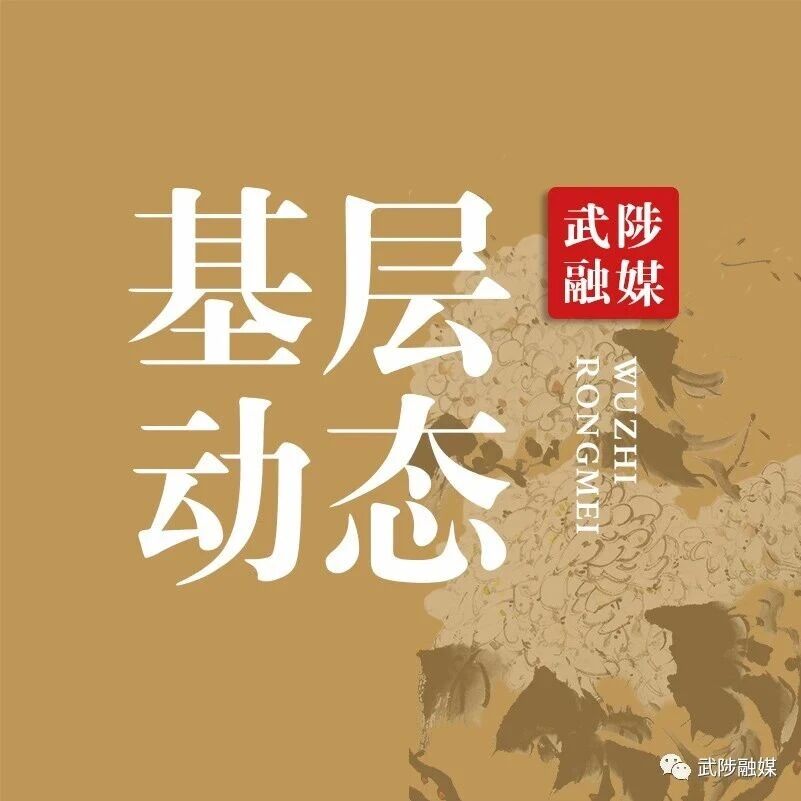 木栾街道：扎实推进医保征缴工作