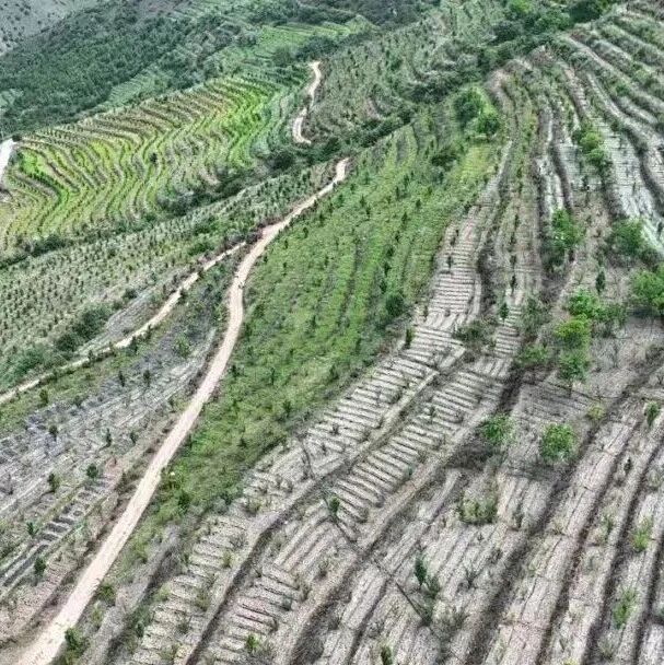 引来“嵘鋆”活水 点绿山地生金—— 石登乡盘活山地资源走出产业振兴新路子 引来“嵘鋆”活水 点绿山地生金—— 石登乡盘活山地资源走出产业振兴新路子