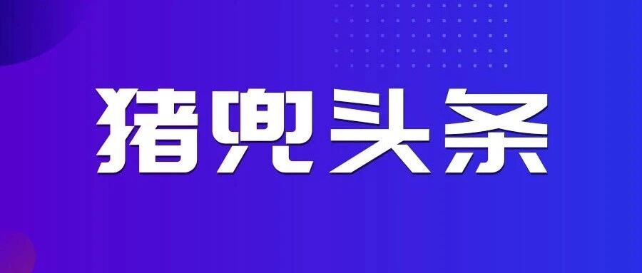 上市猪企利润“腰斩”,亏损从“压价”转向“减量” 上市猪企利润“腰斩”,亏损从“压价”转向“减量”