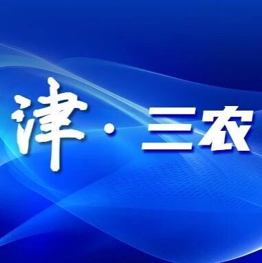 苍头村:抢抓时节植新绿 扮靓乡村惠民生 苍头村:抢抓时节植新绿 扮靓乡村惠民生