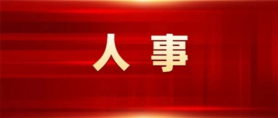 定海区人大常委会通过一批人事任免