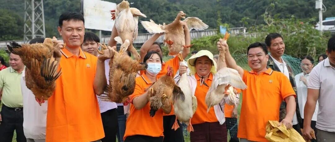 乡趣嗨翻天!南开乡第二届趣味运动会欢乐启幕 乡趣嗨翻天!南开乡第二届趣味运动会欢乐启幕
