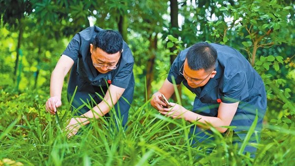 图片新闻丨现场勘验案涉兰花