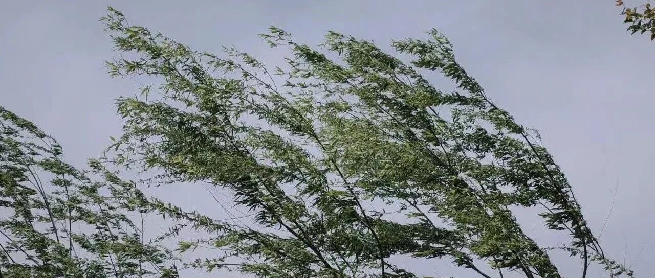 注意!乌海大风预警 注意!乌海大风预警