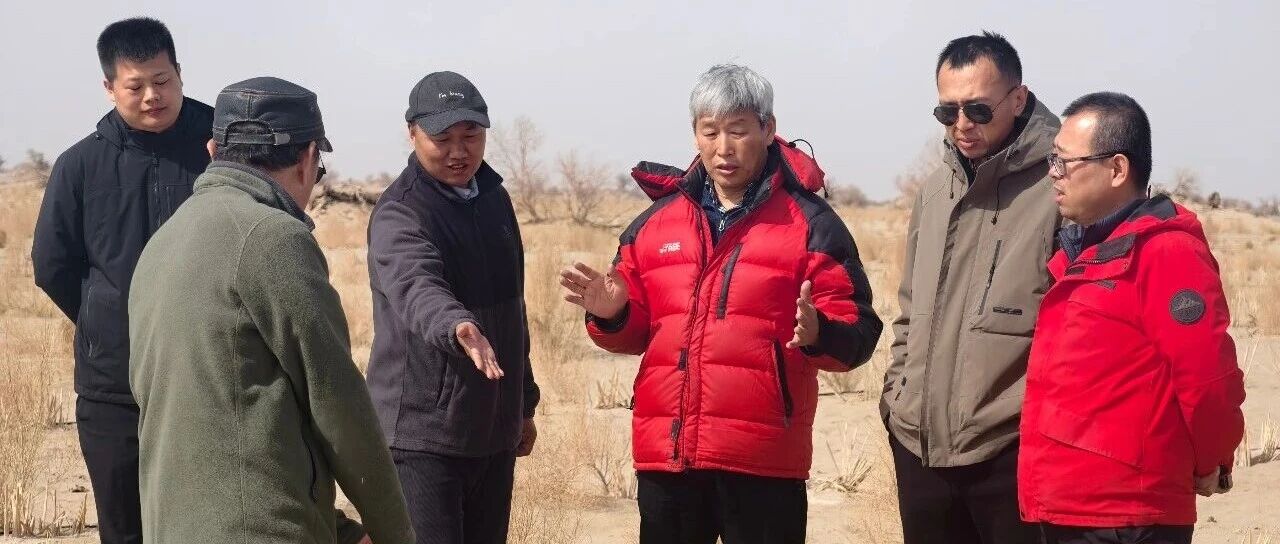沙子越打越旺
