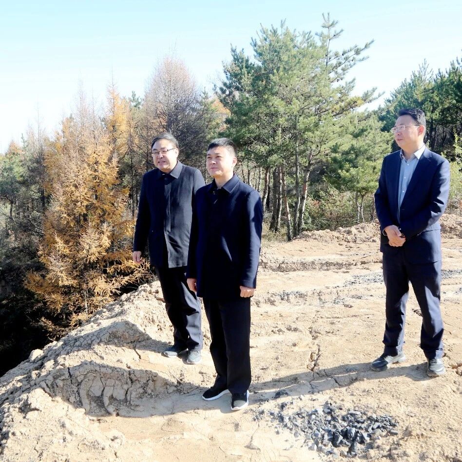【贯彻市党代会精神 岚县在行动】孟飞深入茅龙山林区、梁家庄乡督导调研当前重点工作