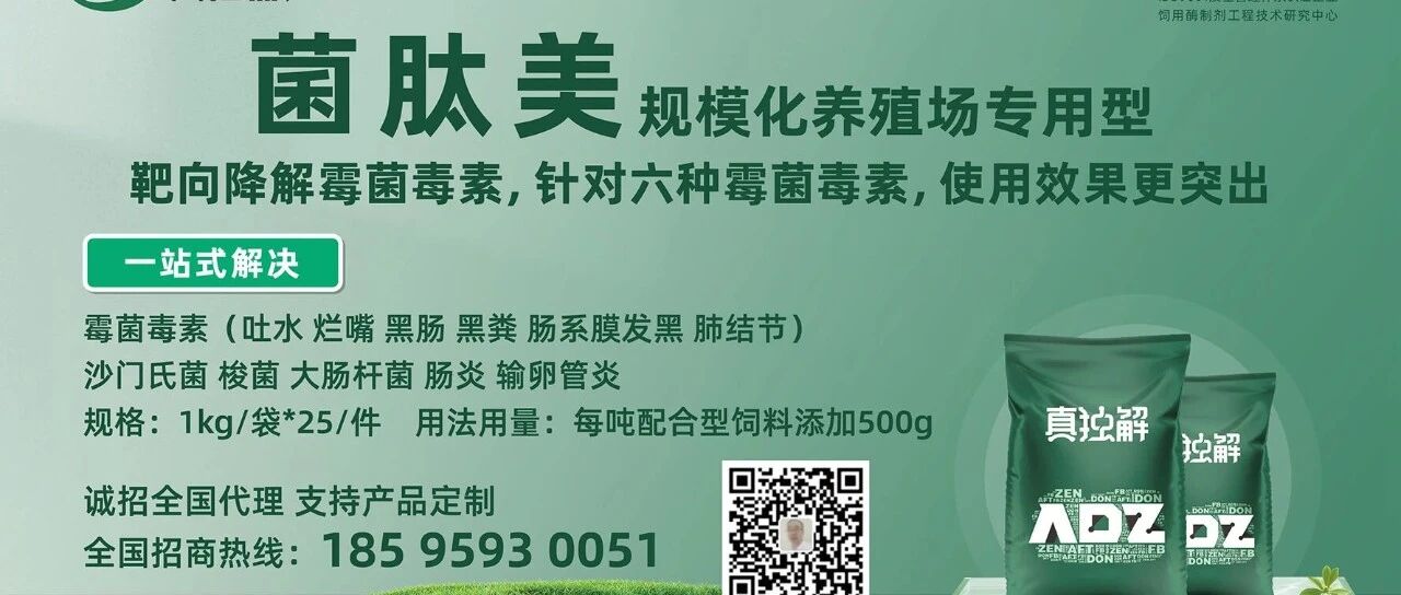 缓解烂嘴、吐水、腺肌胃炎、素囊炎、黑肠黑粪焦油粪、肝肾肺损伤、肠炎、输卵管炎,一站式防控为您的鸡群保驾护航! 缓解烂嘴、吐水、腺肌胃炎、素囊炎、黑肠黑粪焦油粪、肝肾肺损伤、肠炎、输卵管炎,一站式防控为您的鸡群保驾护航!