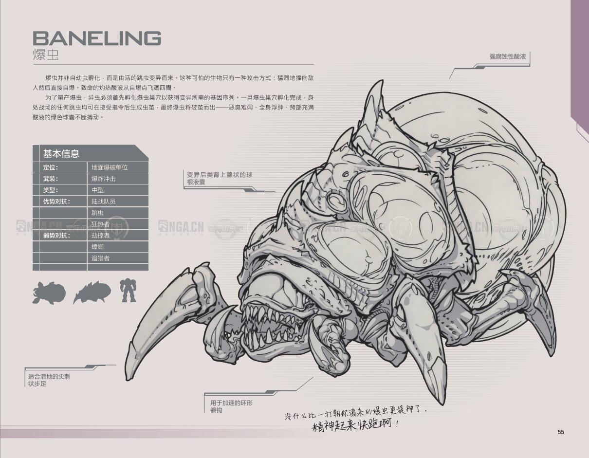 马润爱吐槽:星际争霸2战地手册汉化完成版下载