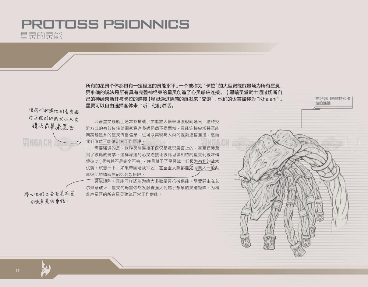 都说了星灵身上并没有“洞”怎么做羞羞的事情？