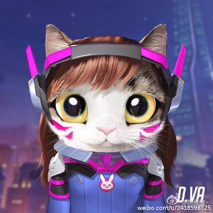 喵星人化的D.VA
