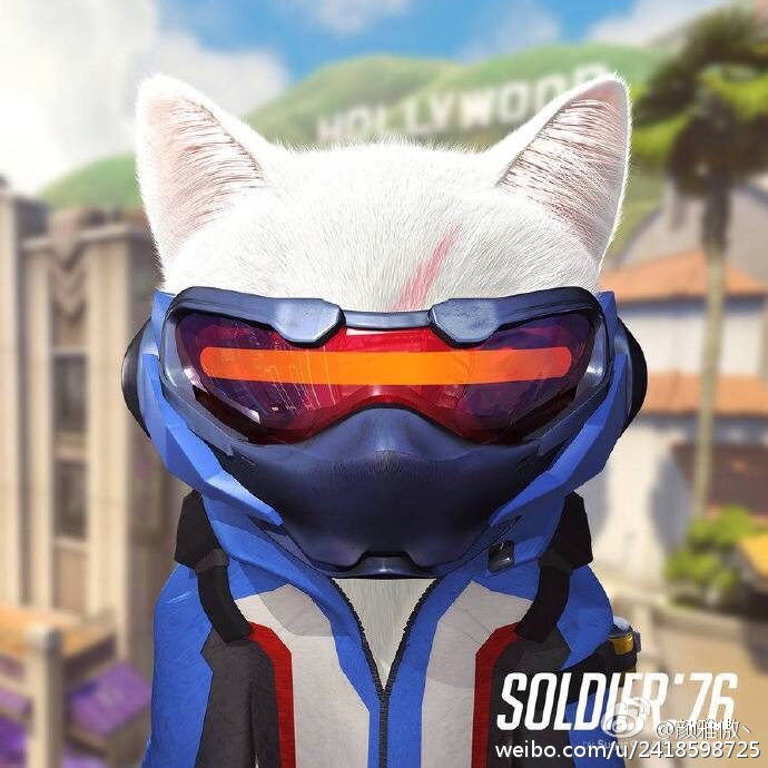 喵星人化的士兵76