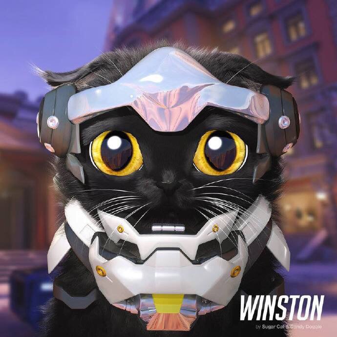 喵星人化的路霸