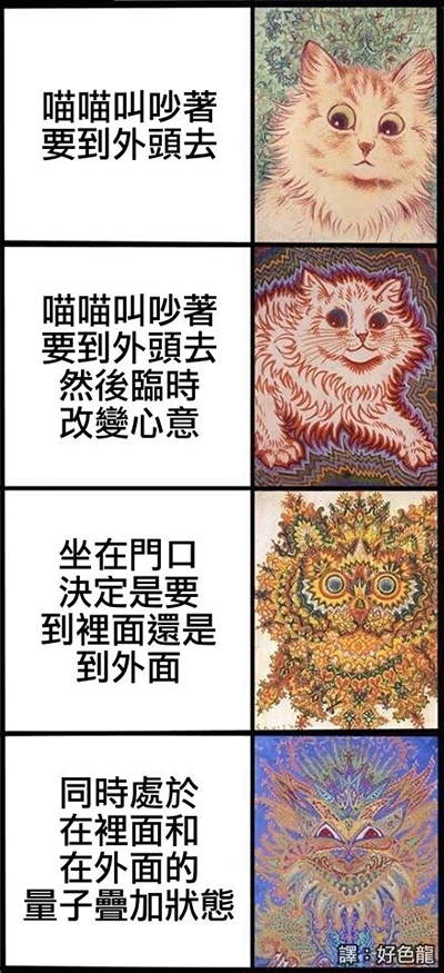 第三个像猫头鹰