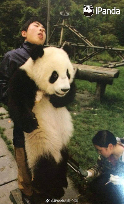 除非包吃包住!!!