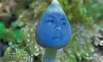 11区萌妹胸大惊人