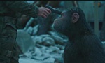 《猩球崛起3》最新预告