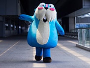 为夏日带来清新 网易《海岛纪元》亮相CJ