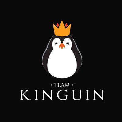 Kinguin战队