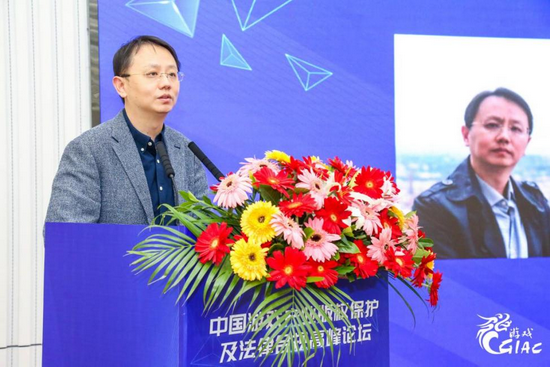 中国音像与数字出版协会副秘书长、游戏工委秘书长唐贾军
