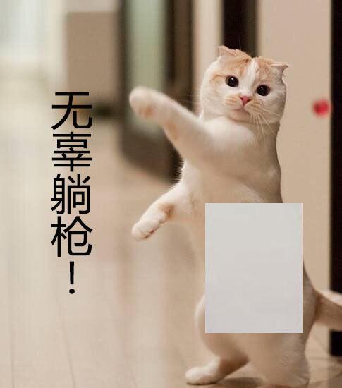 maomaocaon5im454 maomaocaon5im454