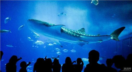 联姻《星际》?15个最受期待的《守望先锋》新场景 游迅网www.yxdown.com