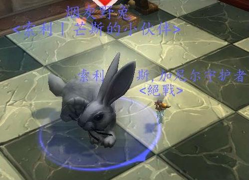 魔兽世界7.0达拉然隐藏宠物烟灰野兔抓捕图文攻略 魔兽世界7.0达拉然隐藏宠物烟灰野兔抓捕图文攻略