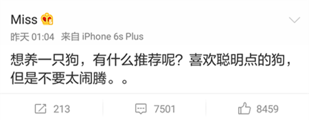 MISS表示想养狗 众人极力推荐若风